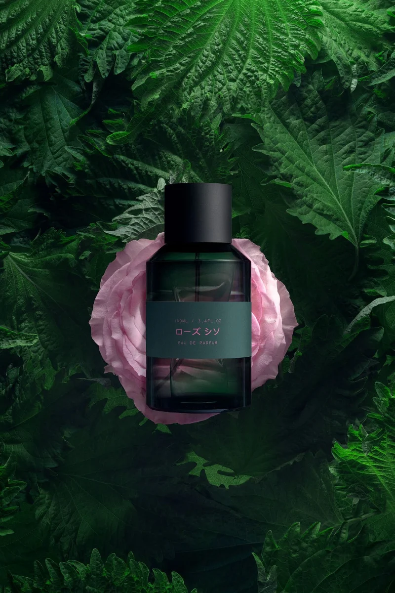 Rose Shiso