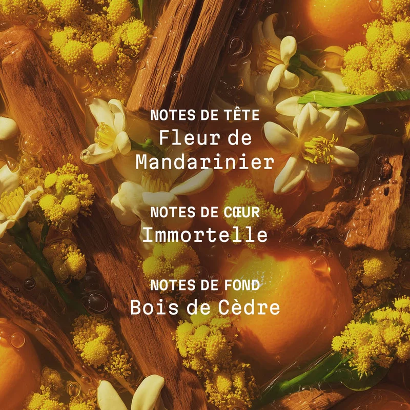 Crème corps parfumée Bois de la Sierra - 150ml