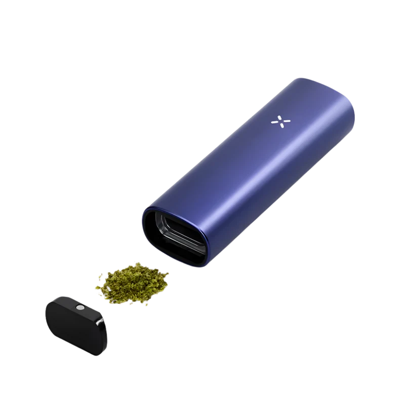 PAX PLUS