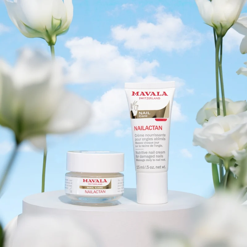 Nailactan - pot