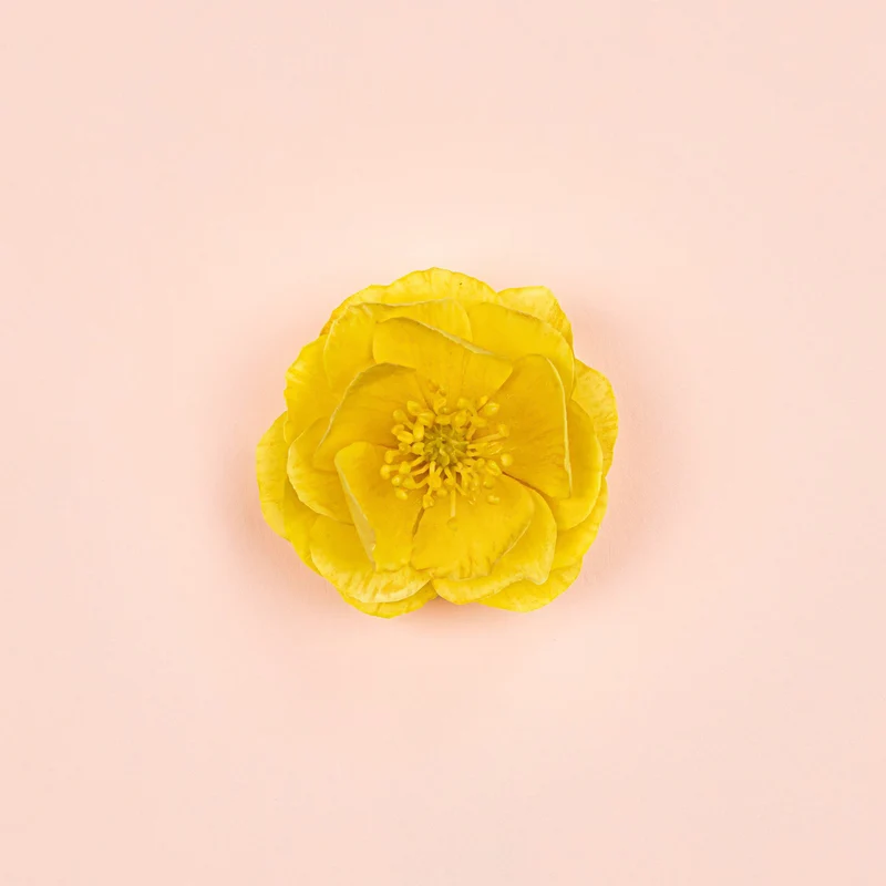 Gucci Bloom Ambrosia d'Oro- Eau de Parfum