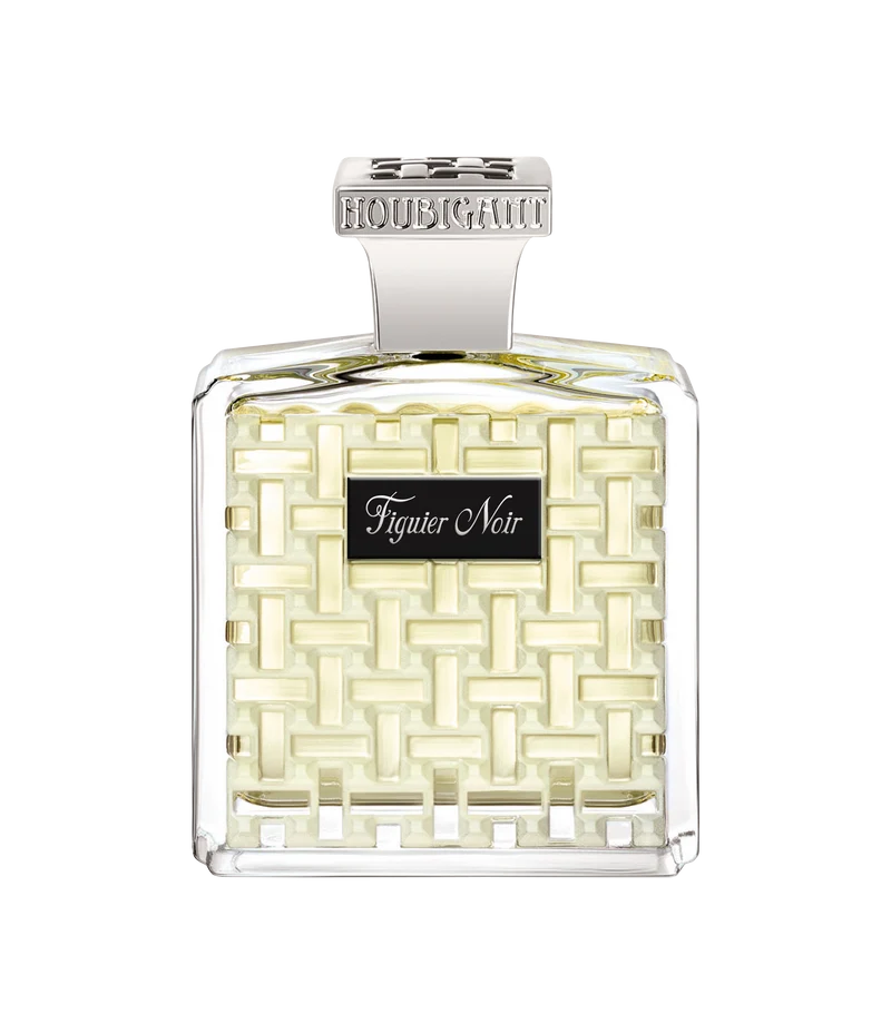 Figuier Noir