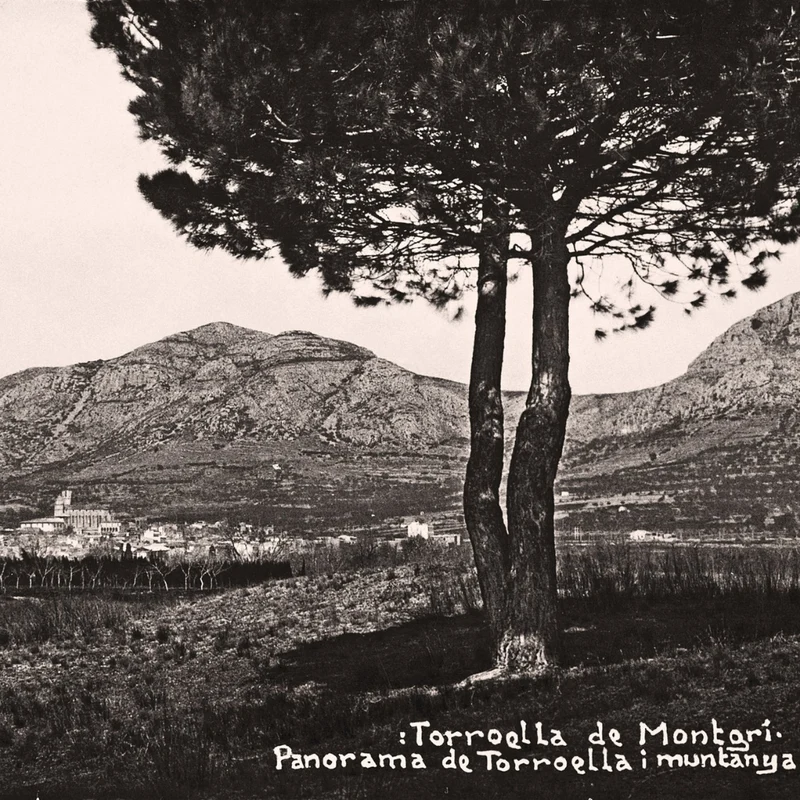 Torroella de Montgrí