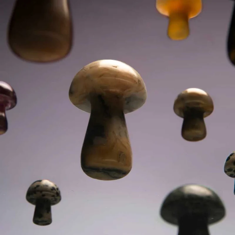 The Gua-Shroom