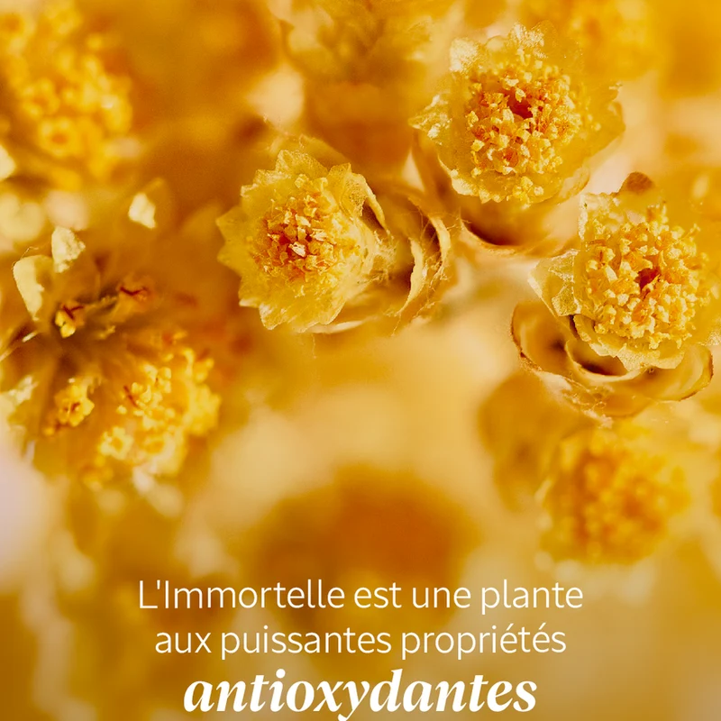 L'Occitane Immortelle Reset Nuit - Huile en Serum