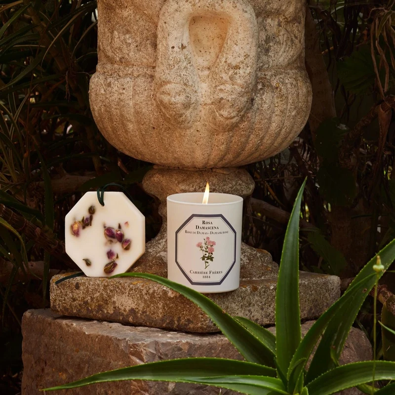 Carrière Frères - Bougie Rose de Damas