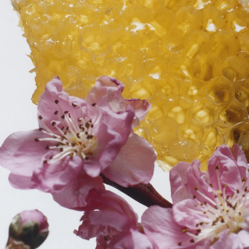 Jo Malone London - Nectarine Blossom & Honey
