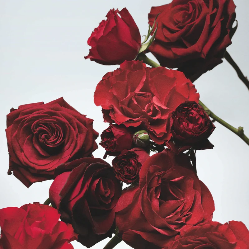 Jo Malone London - Red Roses