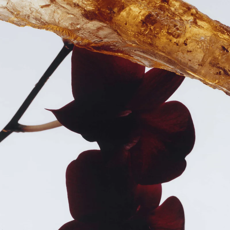 Jo Malone London - Dark Amber & Ginger Lily