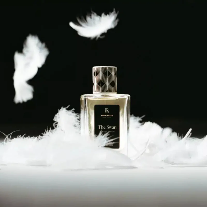 The Swan