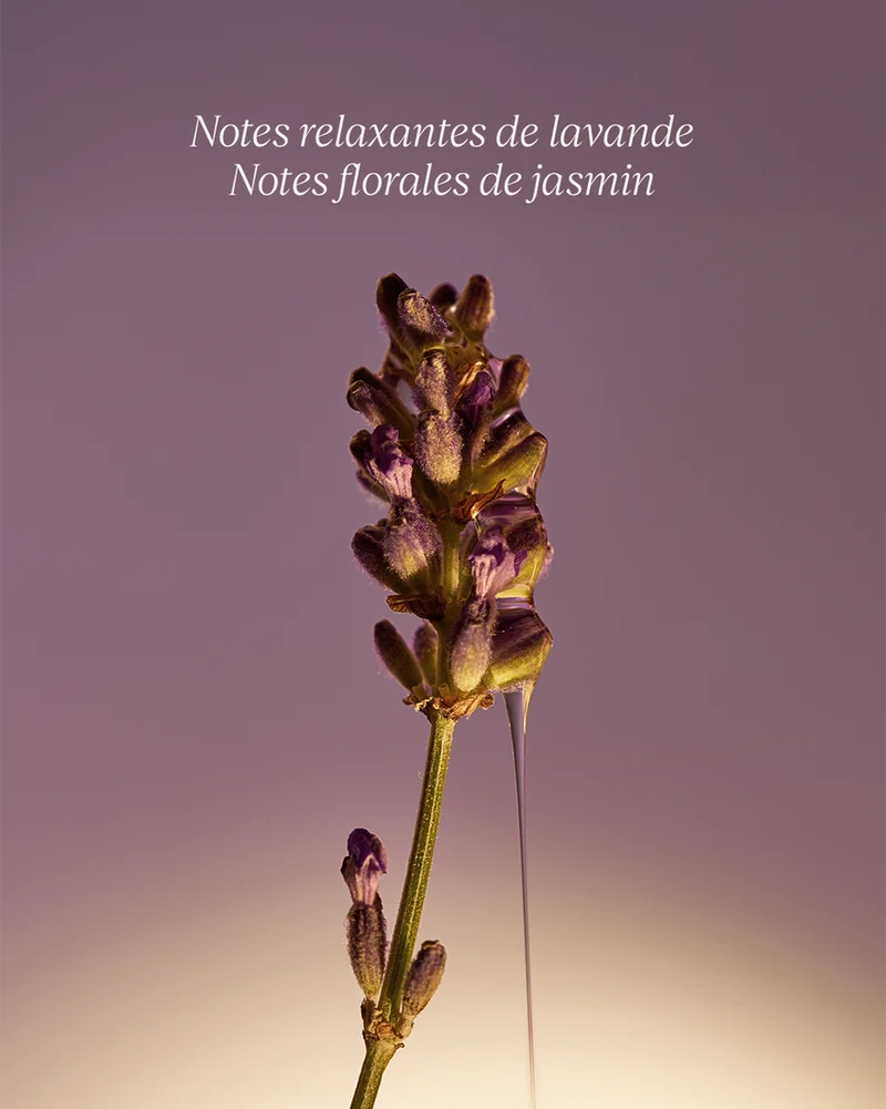L'Occitane Savon Liquide Mains Lavande