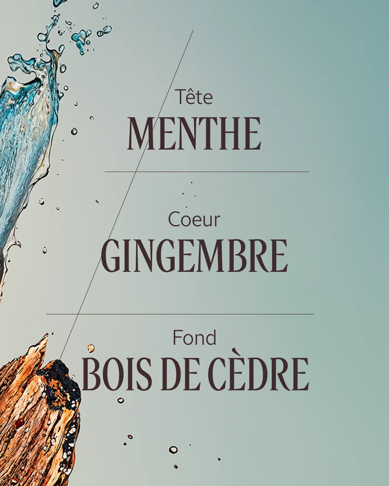 L'Occitane - Eau de toilette Cèdre Gingembre (Cap Cédrat)