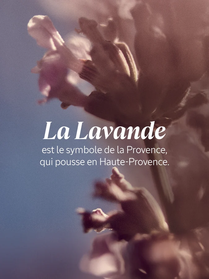 L'Occitane Bain Moussant Lavande 500ml