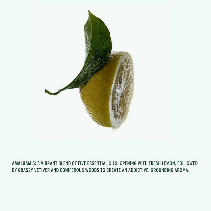Hand Cream - Amalgam 5