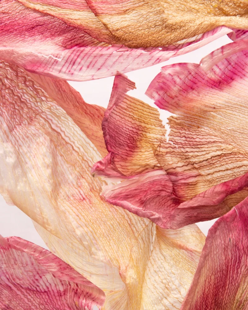 Eau de Parfum - French Bouquet