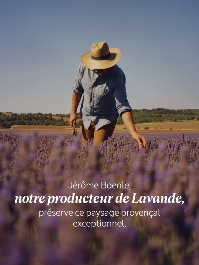 L'Occitane Lait Corps Lavande Blanche 250 ml