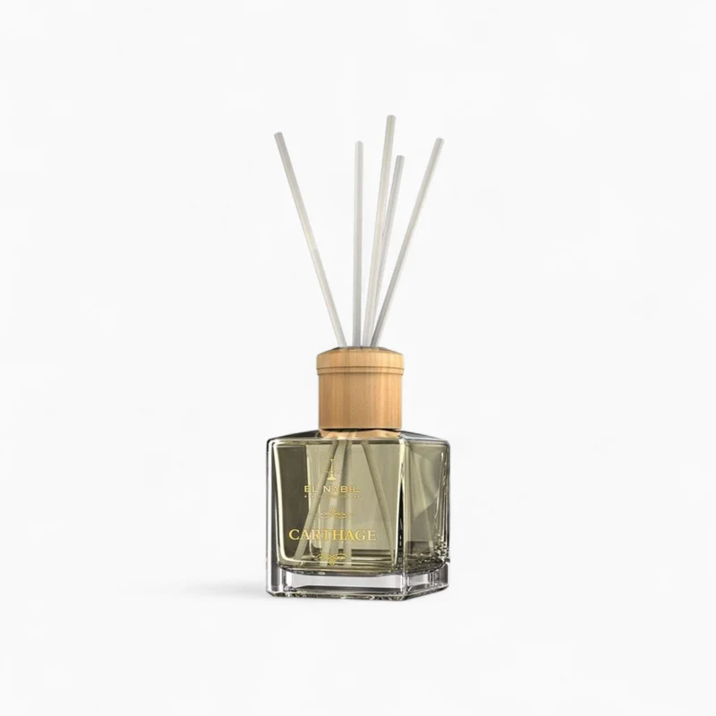 Carthage Diffuseur Collection El Nabil