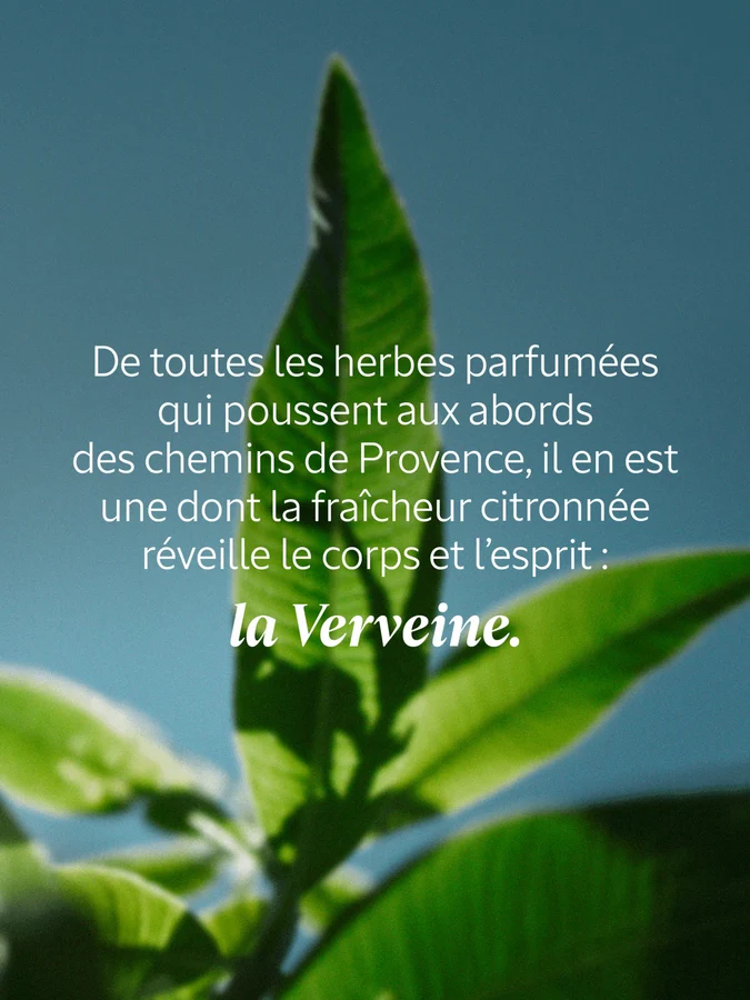 L'Occitane Bain Moussant Verveine