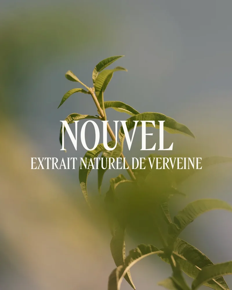 L'Occitane Crème Mains Verveine