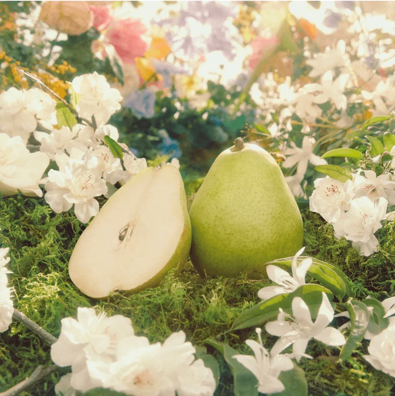 Gucci Flora Gorgeous Gardenia