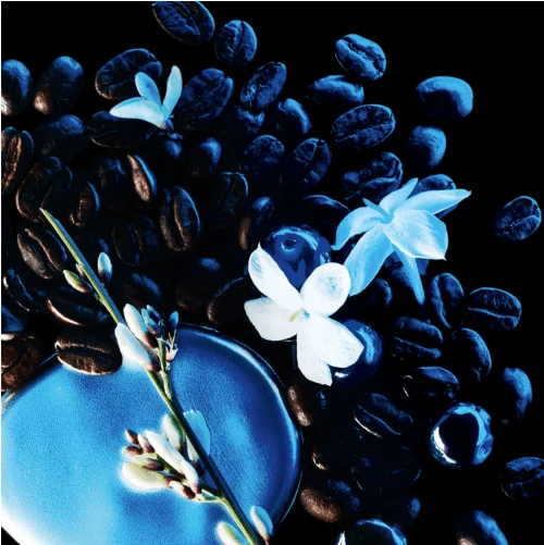 Yves Saint Laurent Black Opium - Eau De Parfum Intense