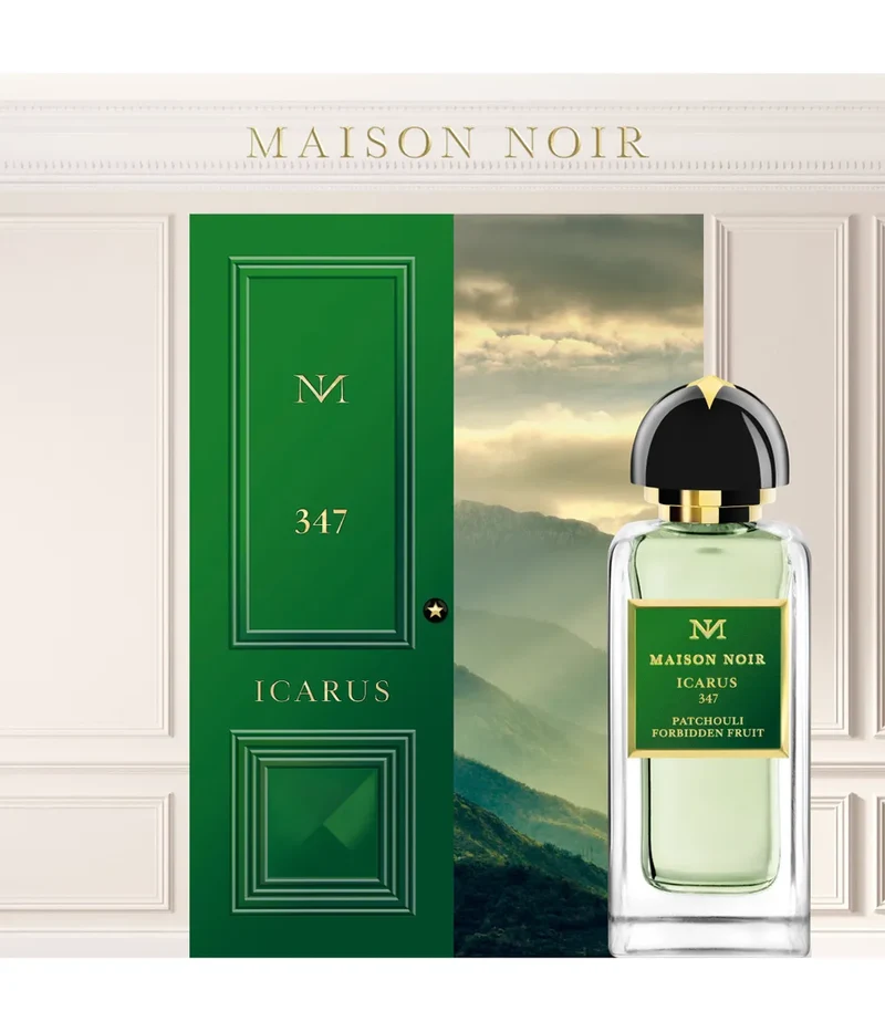 Maison Noir - Icarus 347