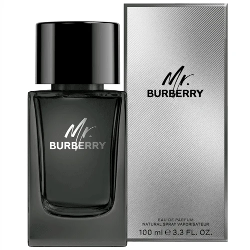 Burberry Mr. Burberry - Eau de Parfum