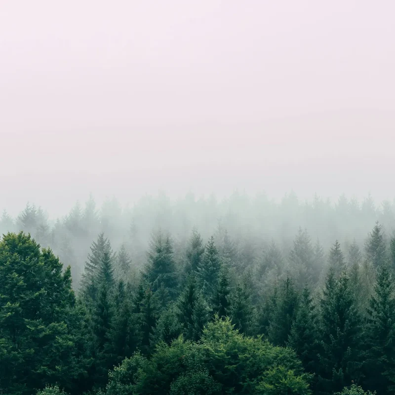 Breathe