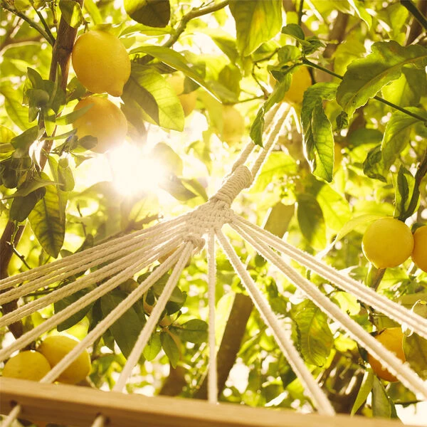 Maison Margiela Under The Lemon Trees - Eau de toilette