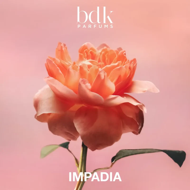 Impadia