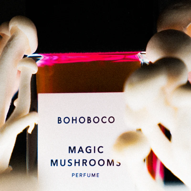 Magic Mushrooms
