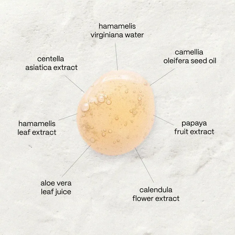 Nº1 The Purifying Cleanser