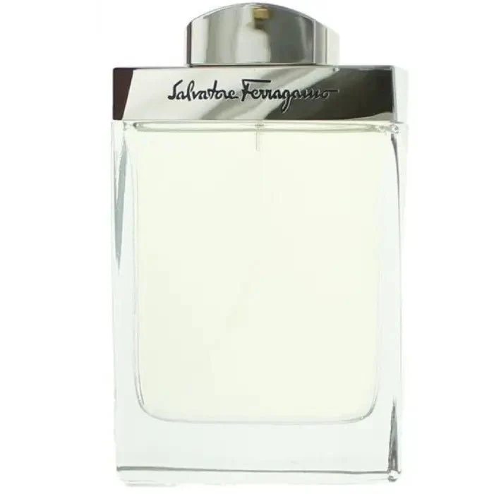 Ferragamo Salvatore Pour Homme - Eau de Toilette