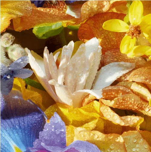 Guerlain Florabloom - Eau de toilette