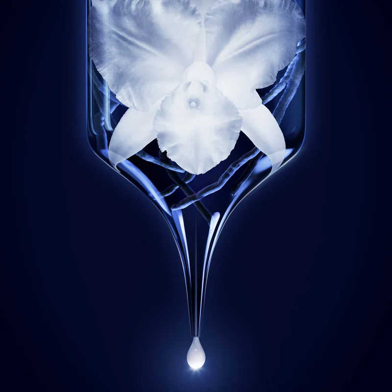Guerlain Orchidée Impériale - La Mousse en Crème