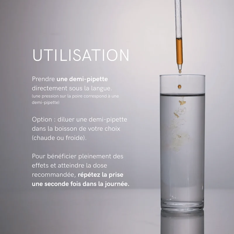 Extrait Lion’s Mane Bio