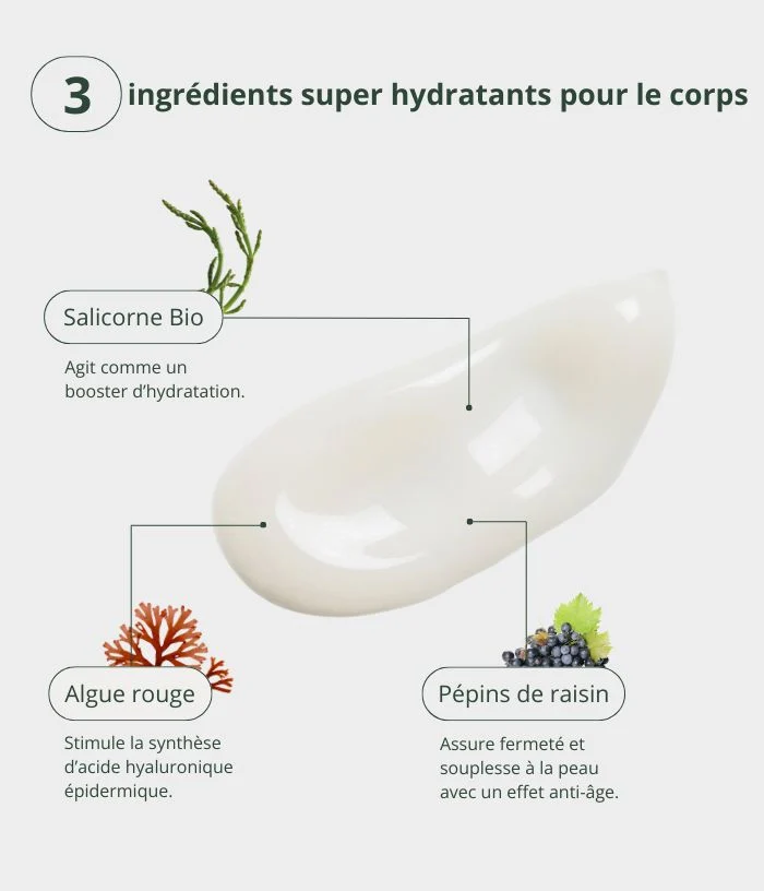 Lait hydratant à la salicorne