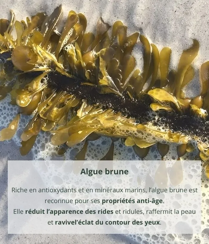 Contour des yeux anti-âge à l'algue brune