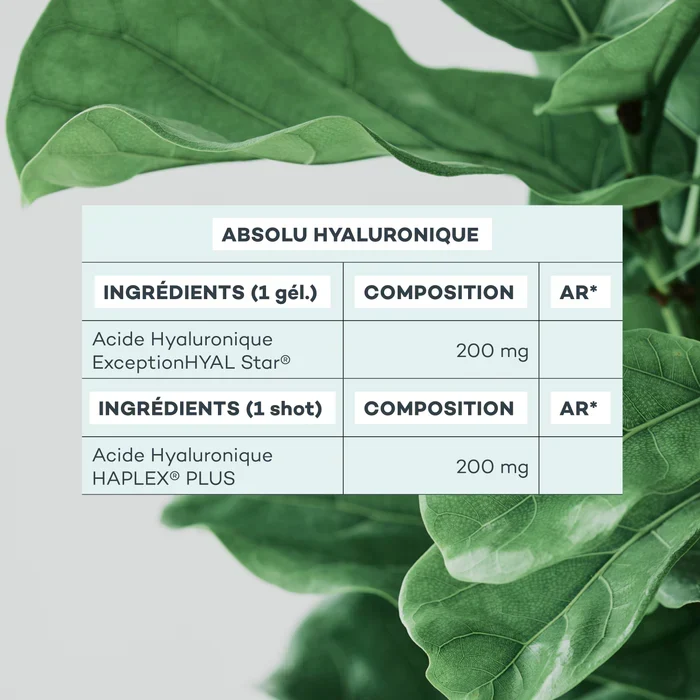 Absolu Hyaluronique
