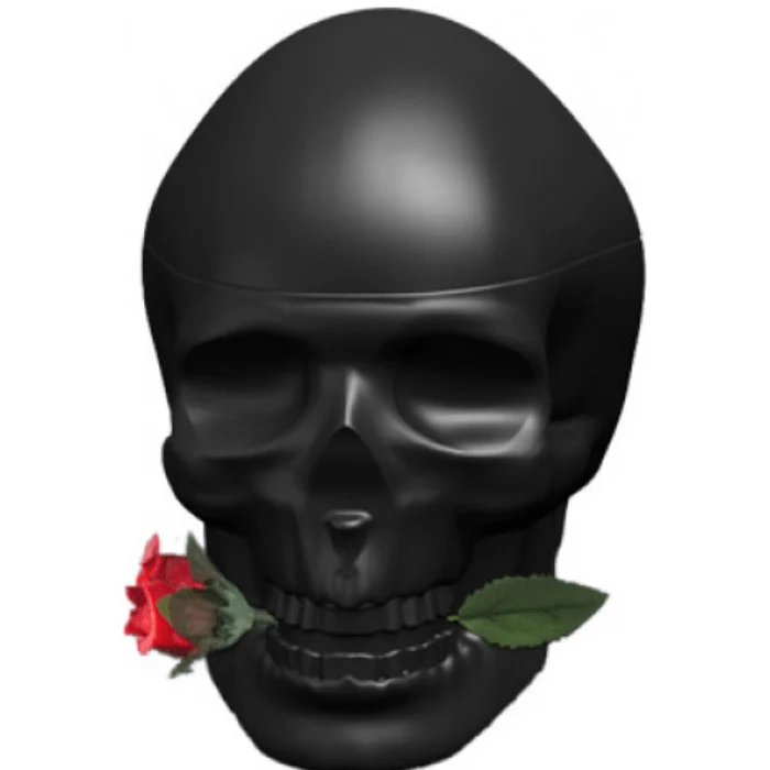 Christian Audigier Skulls And Rose - Eau de Toilette